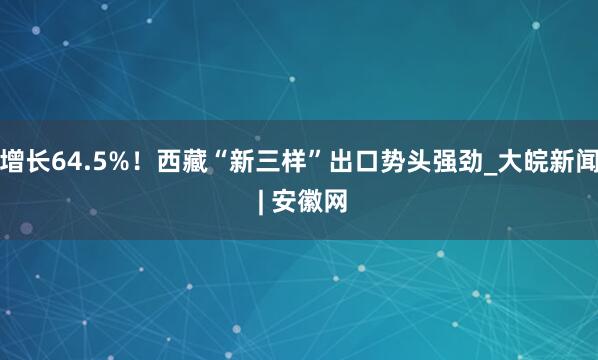 增长64.5%！西藏“新三样”出口势头强劲_大皖新闻 | 安徽网