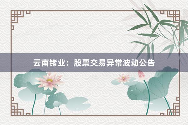 云南锗业：股票交易异常波动公告
