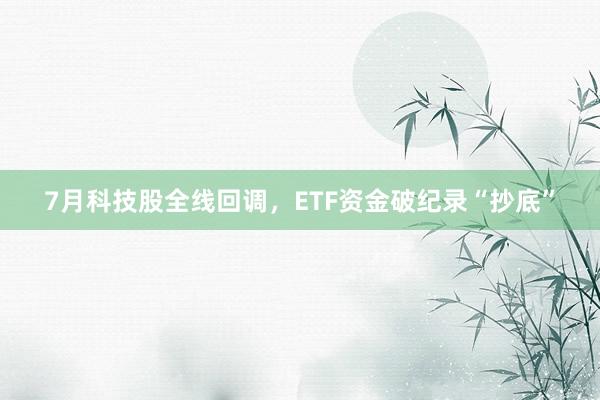 7月科技股全线回调，ETF资金破纪录“抄底”