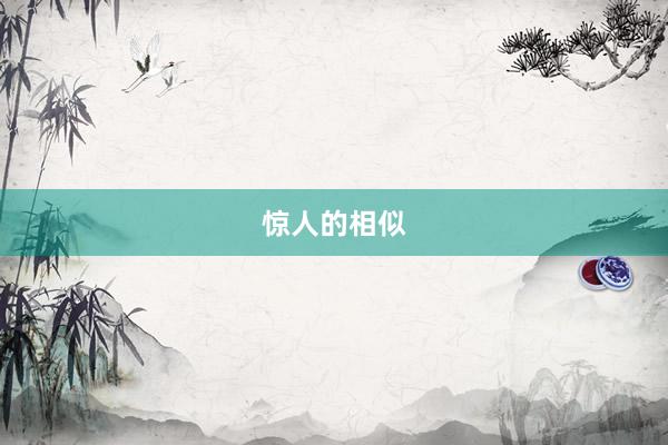 惊人的相似