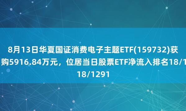 8月13日华夏国证消费电子主题ETF(159732)获净申购5916.84万元，位居当日股票ETF净流入排名18/1291