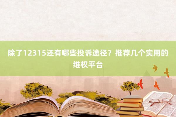 除了12315还有哪些投诉途径？推荐几个实用的维权平台