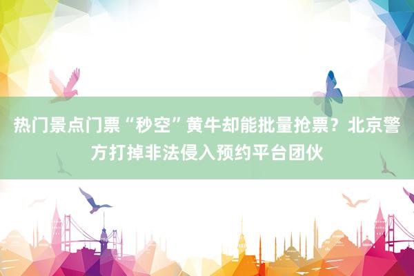 热门景点门票“秒空”黄牛却能批量抢票？北京警方打掉非法侵入预约平台团伙