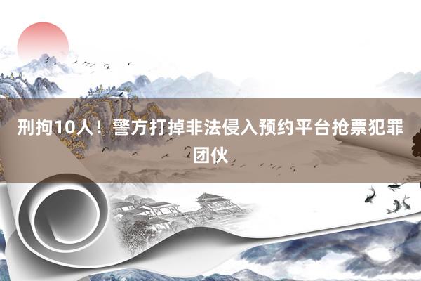 刑拘10人！警方打掉非法侵入预约平台抢票犯罪团伙