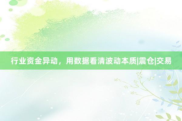 行业资金异动，用数据看清波动本质|震仓|交易