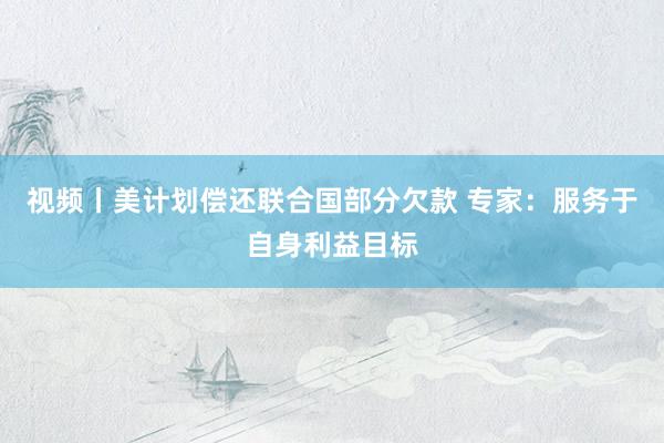 视频丨美计划偿还联合国部分欠款 专家：服务于自身利益目标