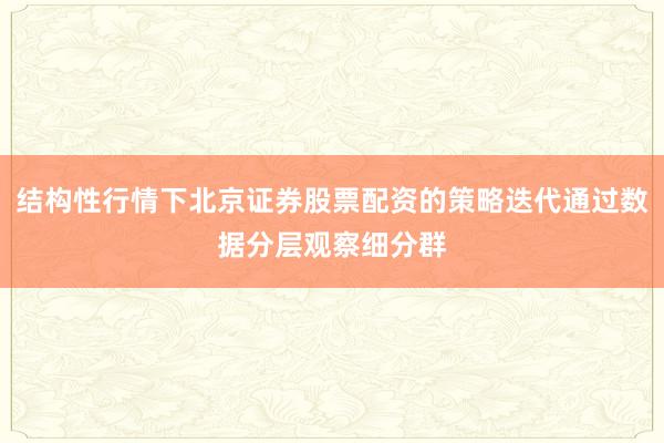 结构性行情下北京证券股票配资的策略迭代通过数据分层观察细分群