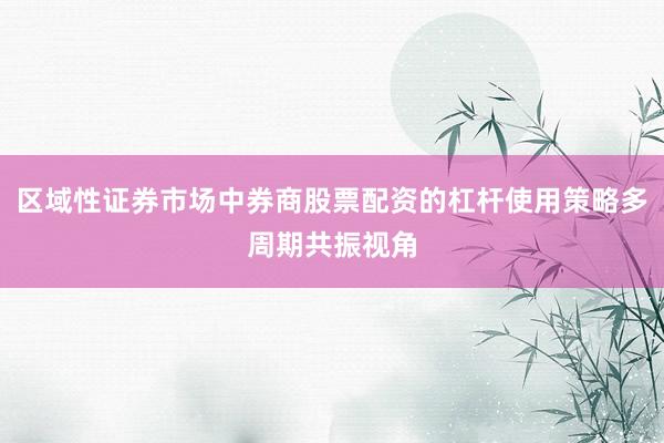 区域性证券市场中券商股票配资的杠杆使用策略多周期共振视角
