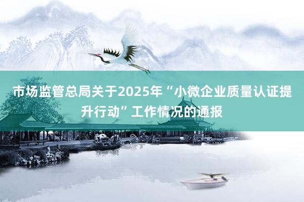 市场监管总局关于2025年“小微企业质量认证提升行动”工作情况的通报
