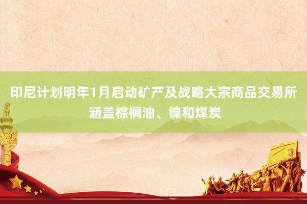 印尼计划明年1月启动矿产及战略大宗商品交易所 涵盖棕榈油、镍和煤炭
