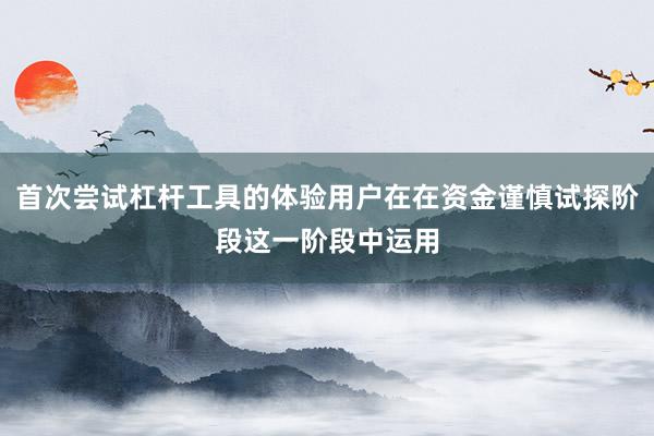 首次尝试杠杆工具的体验用户在在资金谨慎试探阶段这一阶段中运用
