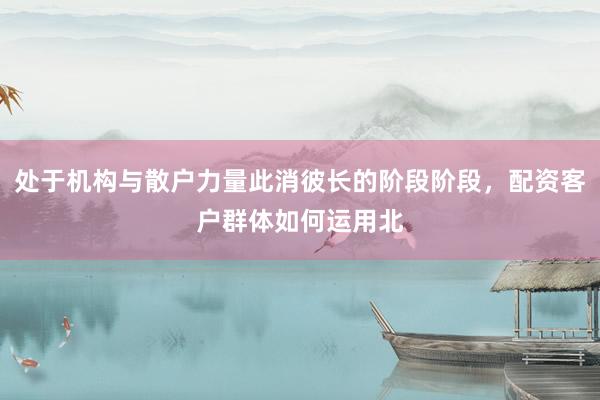 处于机构与散户力量此消彼长的阶段阶段，配资客户群体如何运用北