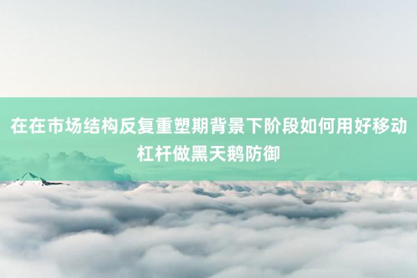 在在市场结构反复重塑期背景下阶段如何用好移动杠杆做黑天鹅防御