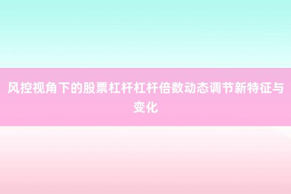 风控视角下的股票杠杆杠杆倍数动态调节新特征与变化