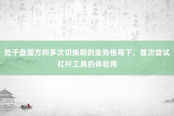 处于盘面方向多次切换期的走势格局下，首次尝试杠杆工具的体验用