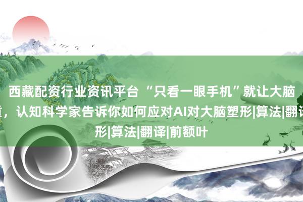 西藏配资行业资讯平台 “只看一眼手机”就让大脑压力重重，认知科学家告诉你如何应对AI对大脑塑形|算法|翻译|前额叶