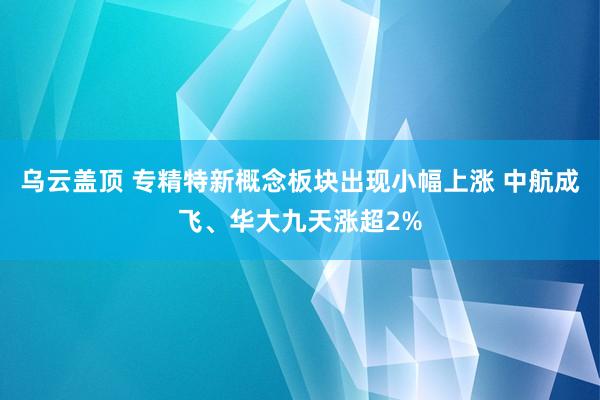 乌云盖顶 专精特新概念板块出现小幅上涨 中航成飞、华大九天涨超2%