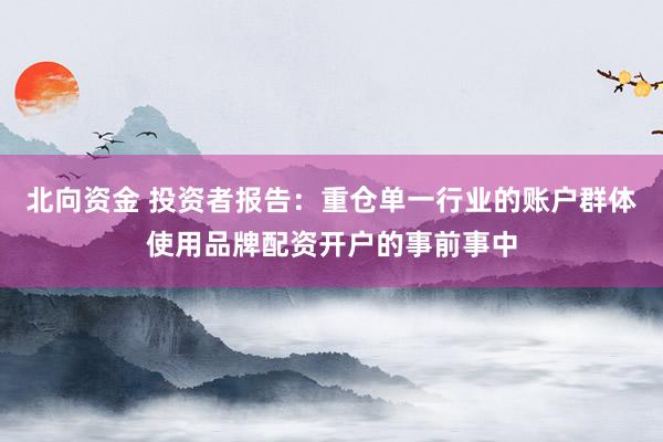 北向资金 投资者报告：重仓单一行业的账户群体使用品牌配资开户的事前事中