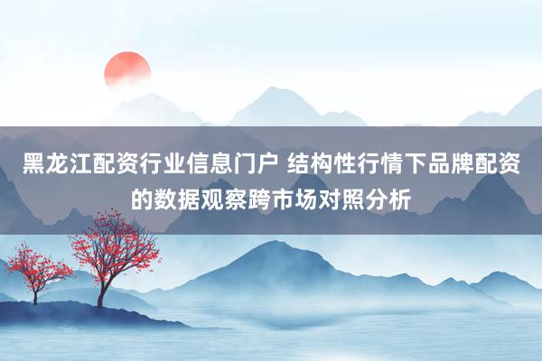黑龙江配资行业信息门户 结构性行情下品牌配资的数据观察跨市场对照分析