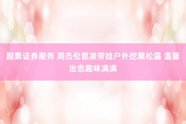股票证券服务 周杰伦昆凌带娃户外挖黑松露 温馨治愈趣味满满