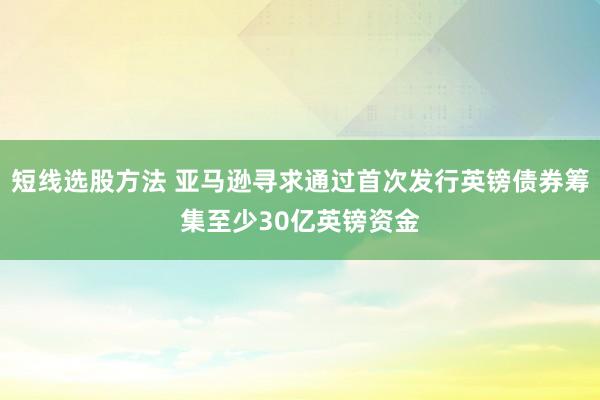 短线选股方法 亚马逊寻求通过首次发行英镑债券筹集至少30亿英镑资金