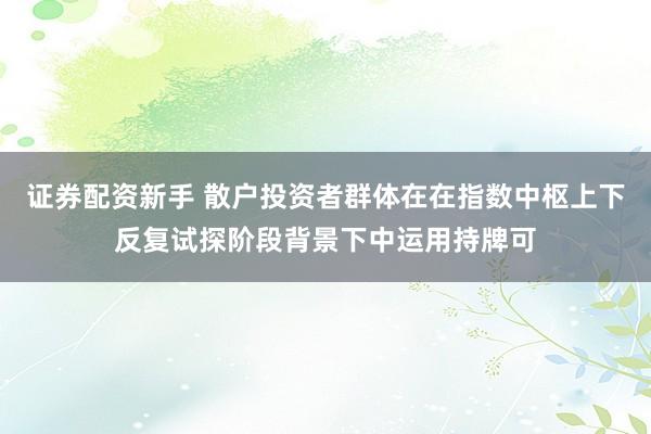 证券配资新手 散户投资者群体在在指数中枢上下反复试探阶段背景下中运用持牌可