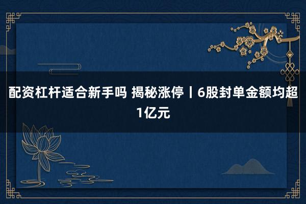 配资杠杆适合新手吗 揭秘涨停丨6股封单金额均超1亿元