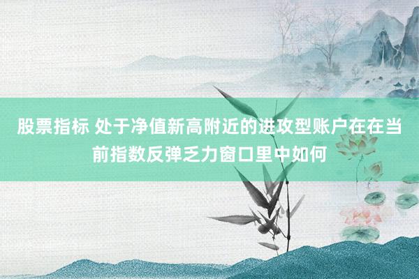 股票指标 处于净值新高附近的进攻型账户在在当前指数反弹乏力窗口里中如何