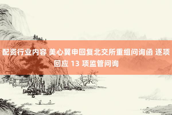 配资行业内容 美心翼申回复北交所重组问询函 逐项回应 13 项监管问询