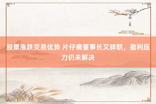股票涨跌交易优势 片仔癀董事长又辞职，盈利压力仍未解决
