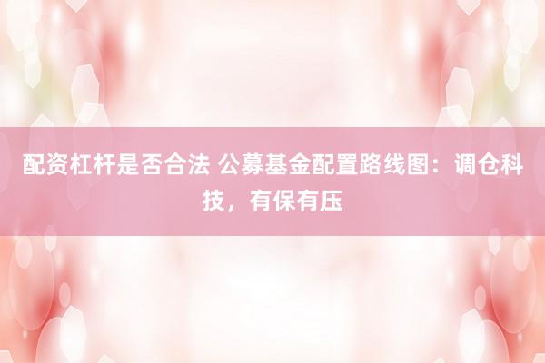 配资杠杆是否合法 公募基金配置路线图:调仓科技,有保有压